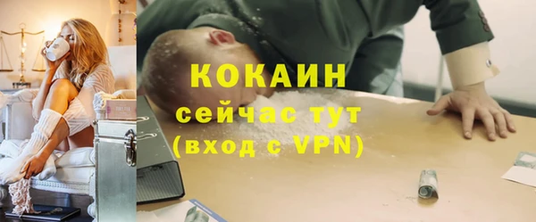 дживик Надым