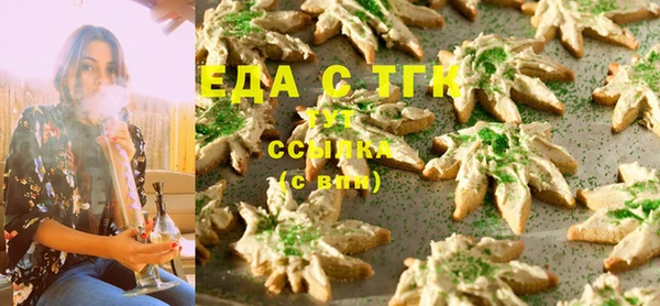 дживик Надым