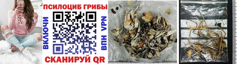 Псилоцибиновые грибы Magic Shrooms Мегион